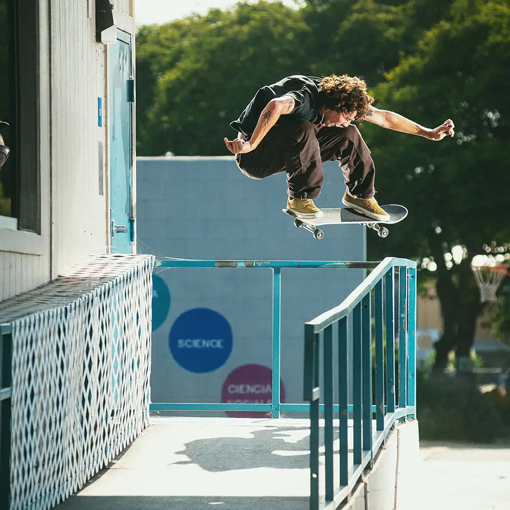 Emerica Hoban Low-Top Shoe Skate Skateboarding Durable